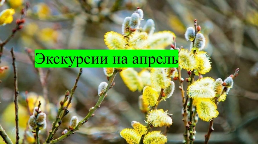 МКУК «Балаганский историко-этнографический музей им. А.С. Башинова» приглашает на экскурсии с 1-30 апреля с 10:00 -17:00
