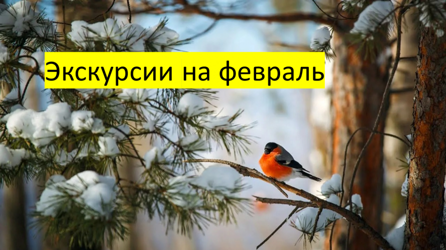 Экскурсии 