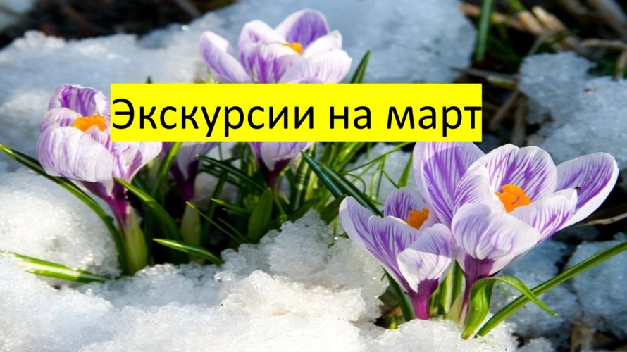 МКУК «Балаганский историко-этнографический музей им. А.С. Башинова» приглашает 